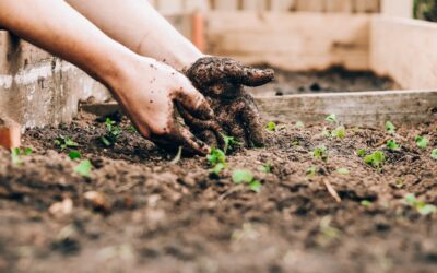 Oktober 2021: Gartenaktionstag mit Erasmus+